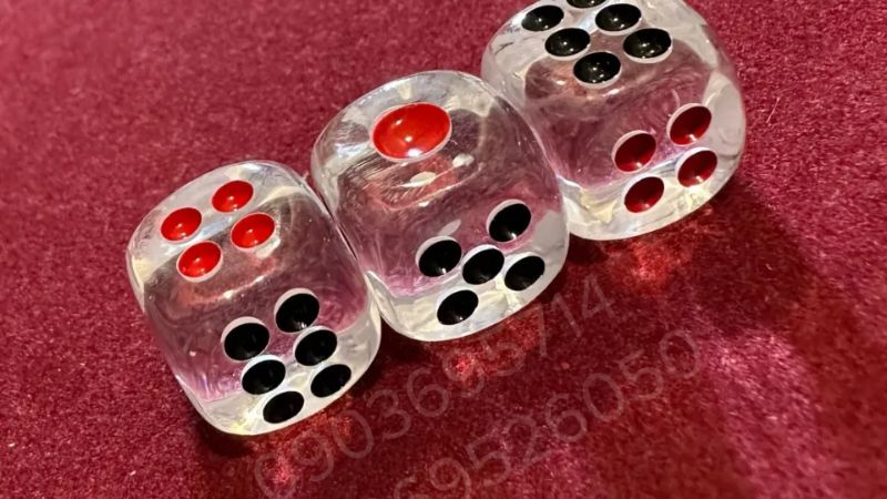 Mẹo đánh rồng hổ - Hướng dẫn từ A đến Z để thành công 11 Quan sát những cao thủ chơi lâu năm